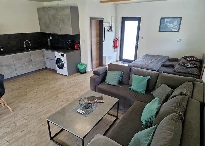 Apartman Relax Lipno- U Plaze Windy Point Černá v Pošumaví
